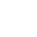 AUTOMATIC<br/>SHUTTLE